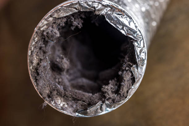 Best Local Air Duct Cleaning Services  in Throop, PA